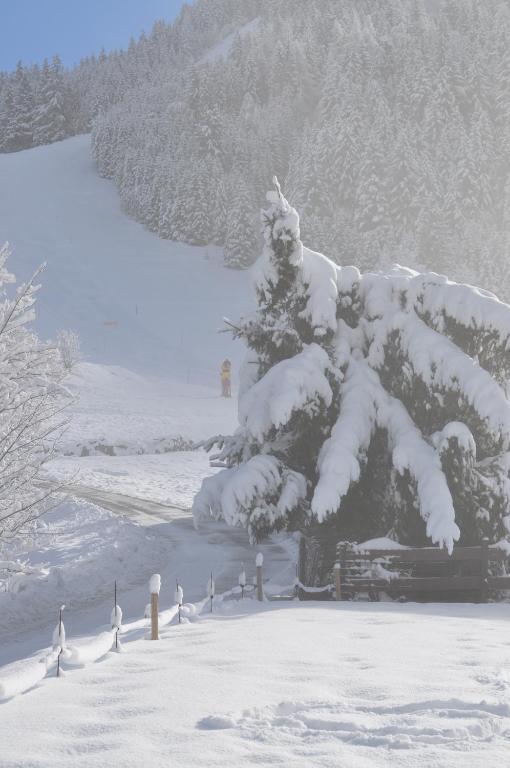 La Foret De Maronne La Garde  Bagian luar foto