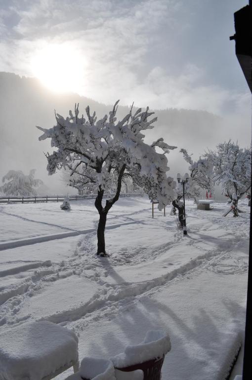 La Foret De Maronne La Garde  Bagian luar foto